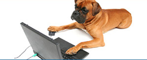 REALESTATEDOG.jpg