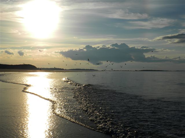 DSCN482_edited-2.jpg