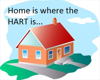home-17.jpg