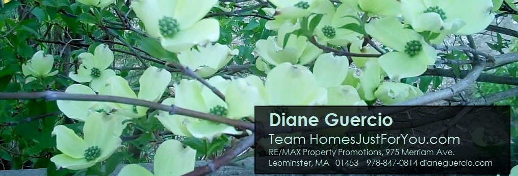 DogwoodsforMLSheadernarrow.jpg