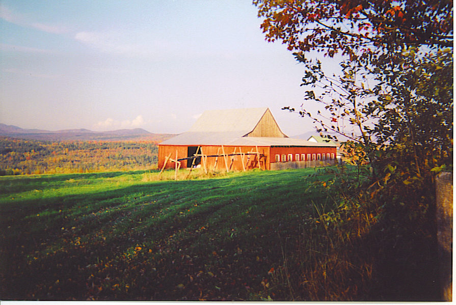 Farm-1.jpg