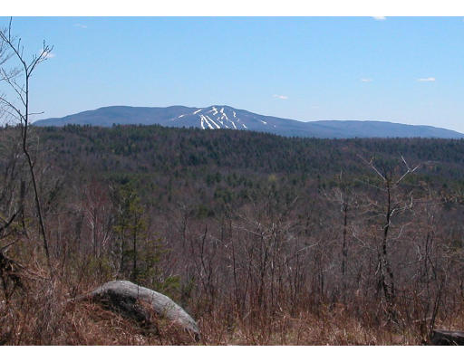 Land for Sale, ListingId:10291658, location: 00 Dodge Pasture Road Sunapee 03782