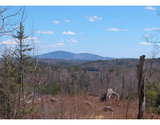 Viewing Image 2