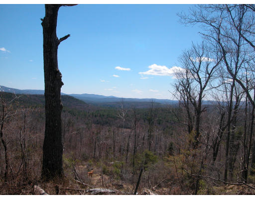 Viewing Image 6