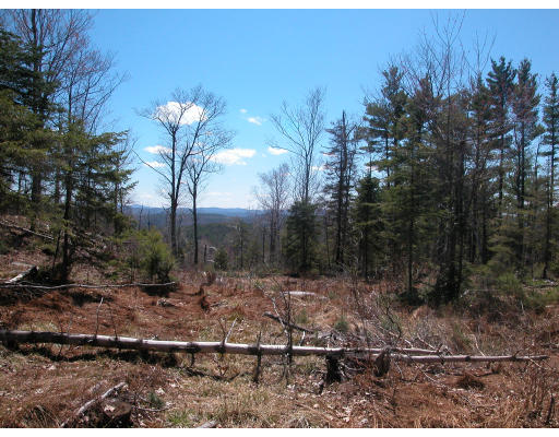 Viewing Image 7