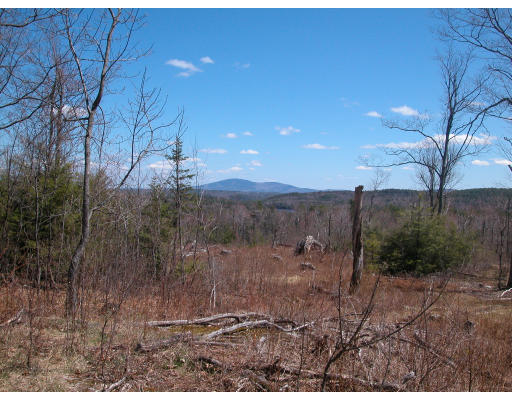Viewing Image 8