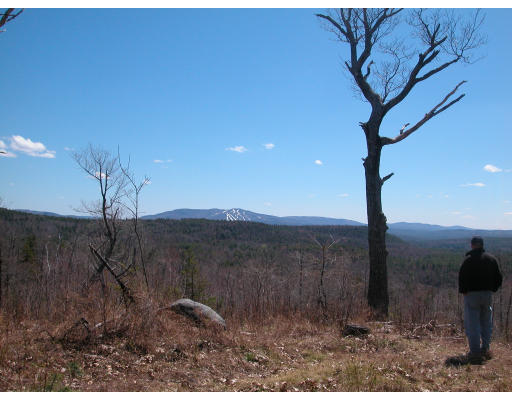 Viewing Image 11