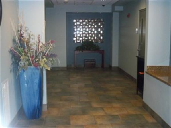 Viewing Image 2