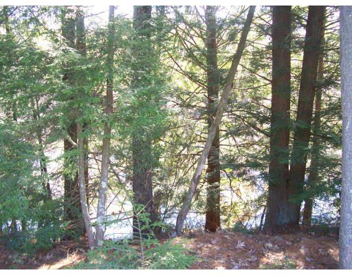 Viewing Image 4
