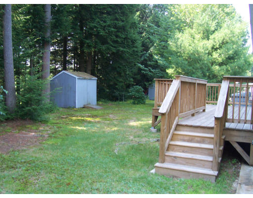 Viewing Image 5