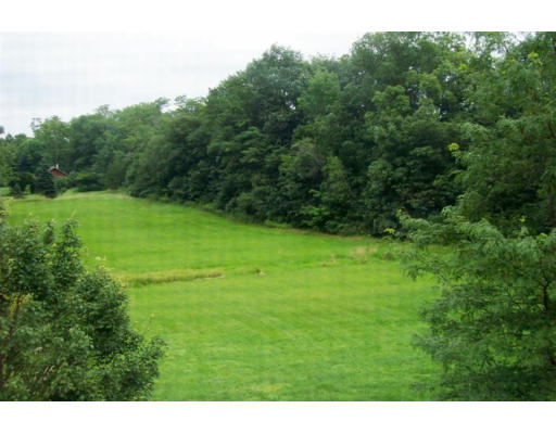 Viewing Image 11