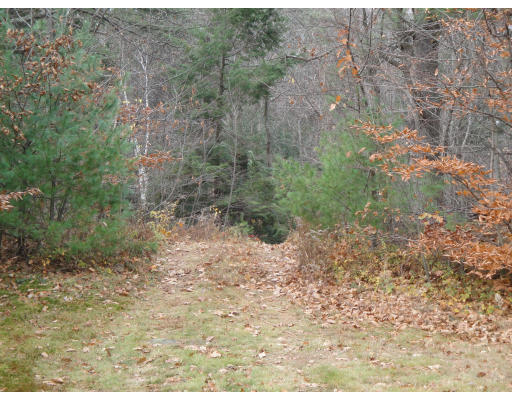 Viewing Image 6