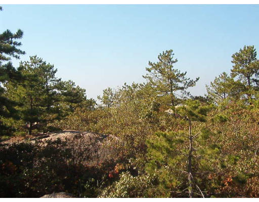 Land for Sale, ListingId:14568401, location: 153 Judge Rd Lynn 01904