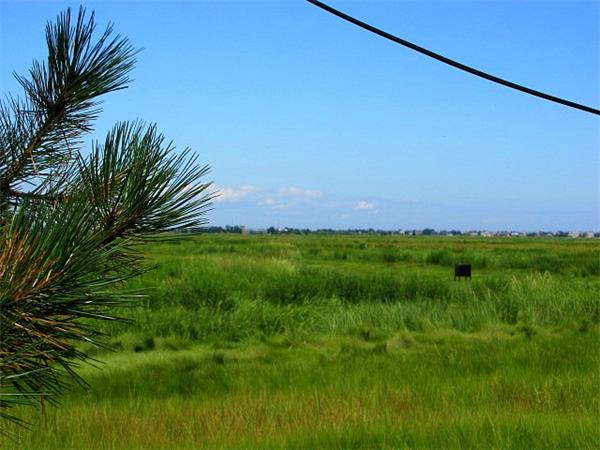 Viewing Image 11
