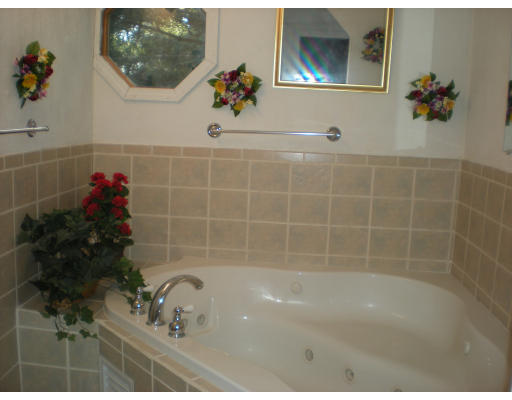 Viewing Image 4