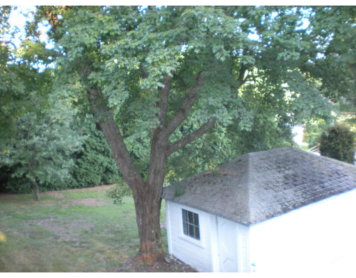 Viewing Image 8