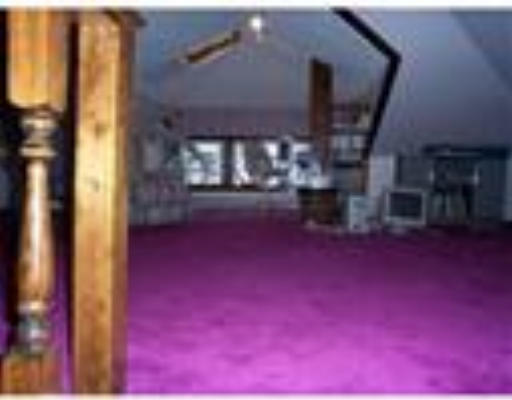 Viewing Image 11
