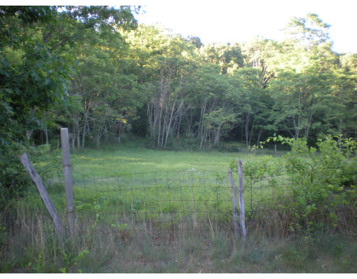Viewing Image 12