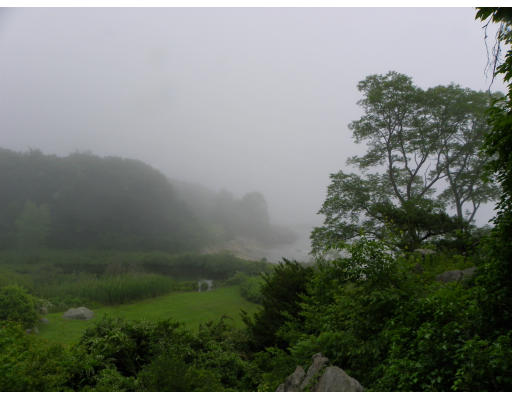 Viewing Image 18
