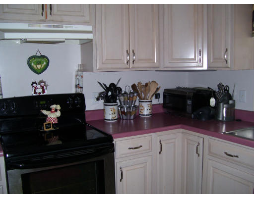 Viewing Image 3