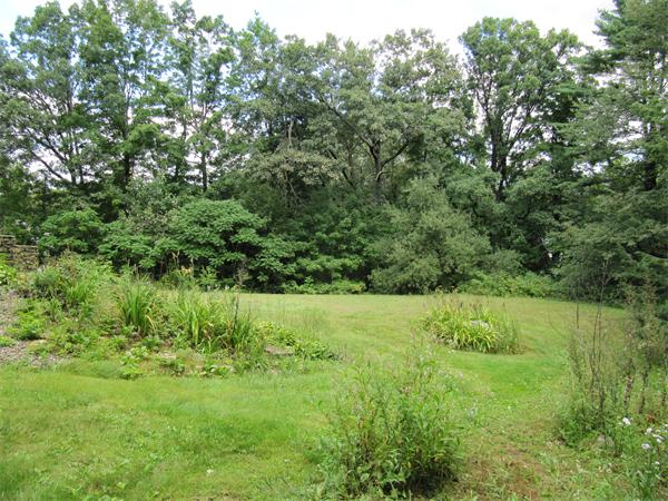 Viewing Image 7