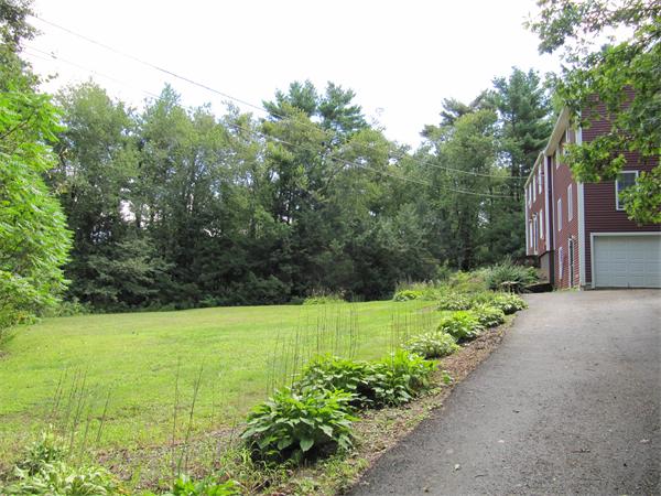 Viewing Image 8
