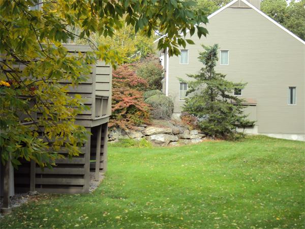 Viewing Image 3