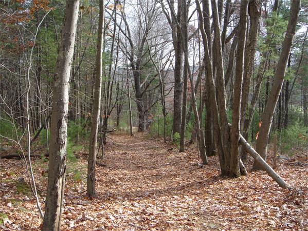 Land for Sale, ListingId:16114816, location: Lot 6 Hollow Rd Brimfield 01010