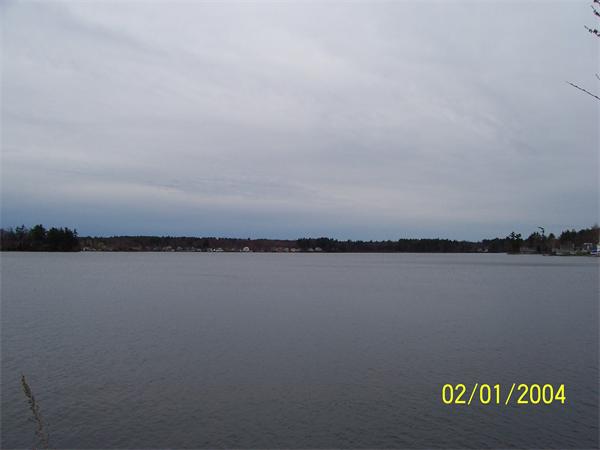 Viewing Image 4