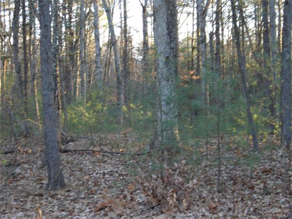 Land for Sale, ListingId:16262806, location: 79 Townsend Harbor Rd Lunenburg 01462