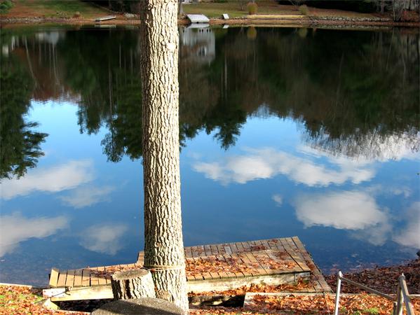 Viewing Image 4