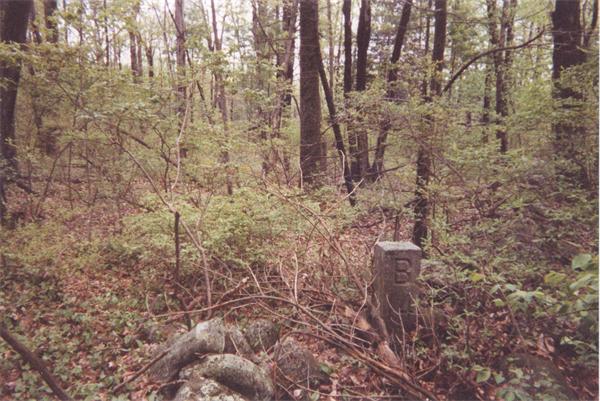 Land for Sale, ListingId:16420932, location: 0 Birch Rd Wenham 01984