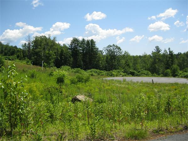 Land for Sale, ListingId:18472971, location: 0 Autumn Hills Sandown 03873