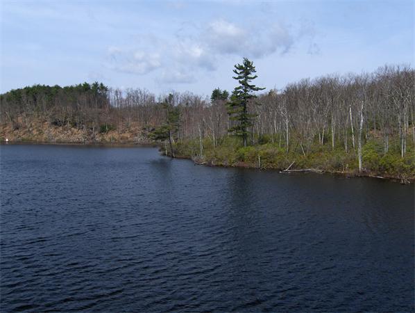 Viewing Image 10