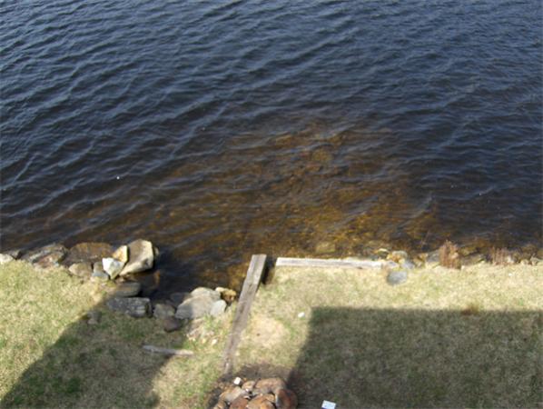 Viewing Image 11