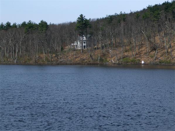 Viewing Image 12