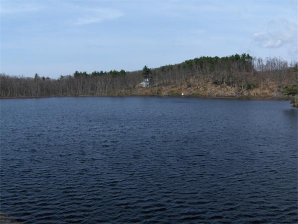 Viewing Image 13