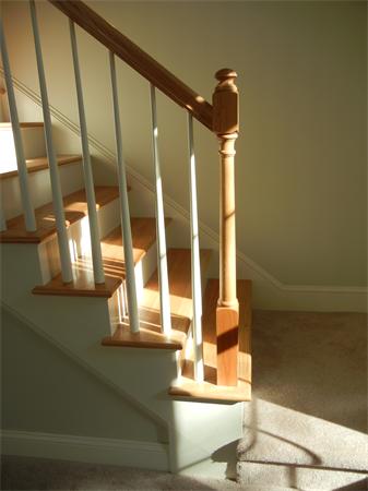 Viewing Image 15