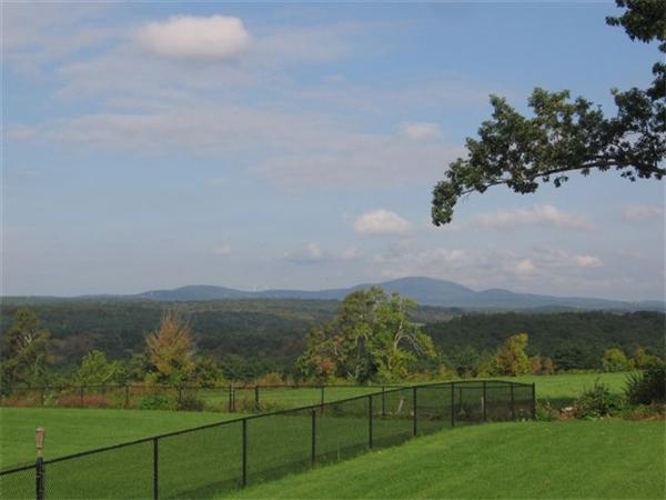 Viewing Image 9