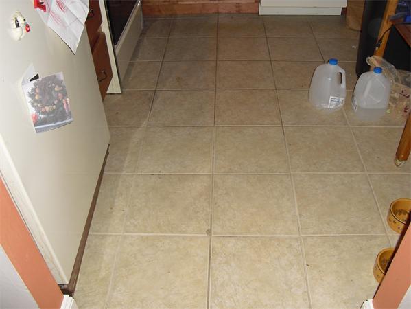 Viewing Image 5