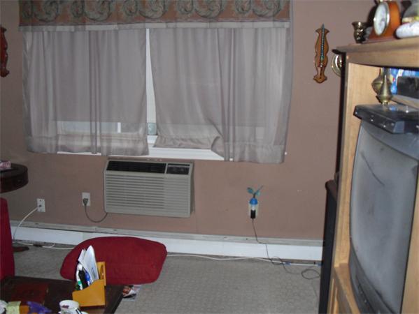 Viewing Image 11