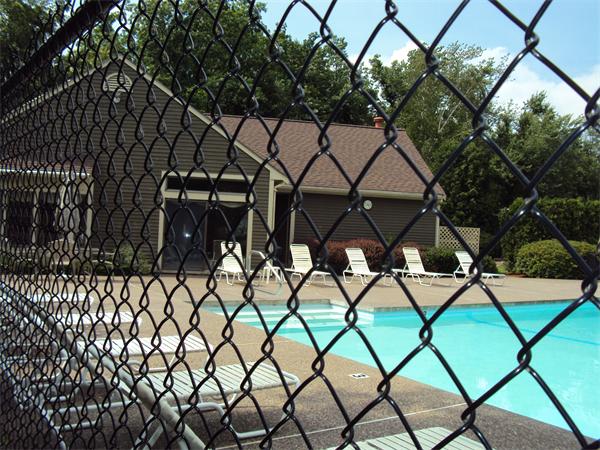 Viewing Image 5