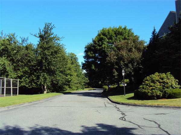 Viewing Image 8