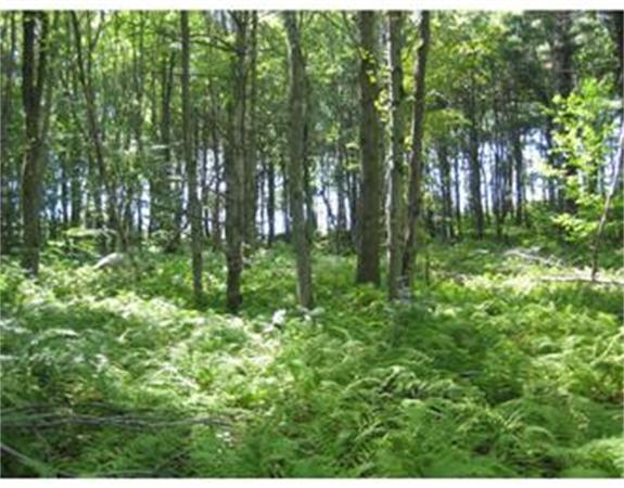 Real Estate for Sale, ListingId:16592186, location: 150 Brook Station Rd Princeton 01541