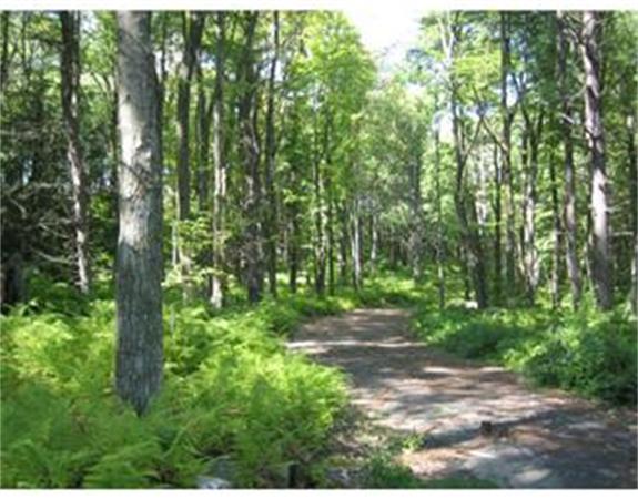 Real Estate for Sale, ListingId:16605290, location: Lot 4 Brook Station Rd Princeton 01541