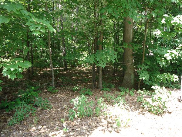 Land for Sale, ListingId:16612305, location: 5 Webster Landing Rd Kingston 03848