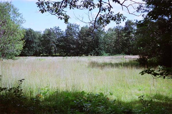 Real Estate for Sale, ListingId: 23361692, Rutland,&nbsp;MA&nbsp;&nbsp;01543