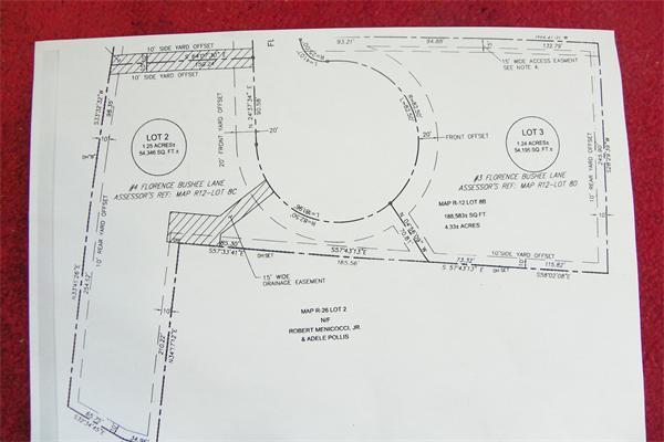 Viewing Image 8