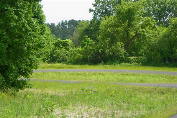 Viewing Image 9