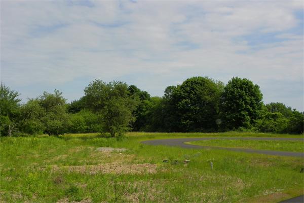 Viewing Image 10